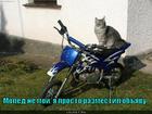 https://lolkot.ru/2011/03/26/prosto-razmestil/