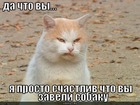 https://lolkot.ru/2010/06/12/prosto-schastliv-2/