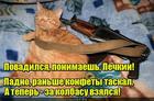 https://lolkot.ru/2016/05/28/protivopechkovoye-sredstvo/