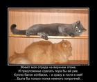 https://lolkot.ru/2015/06/15/proverka-na-prochnost-3/