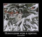 https://lolkot.ru/2012/12/29/pryatki-2/