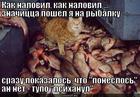 https://lolkot.ru/2012/11/30/psihanul-2/