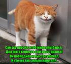 https://lolkot.ru/2016/06/27/puglivyy-paparatstsi/