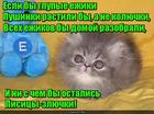 https://lolkot.ru/2015/11/18/pushistyye-yezhiki/