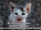 https://lolkot.ru/2011/01/12/pust-mama-uslyshit/