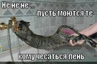 https://lolkot.ru/2012/03/26/pust-moyutsya/