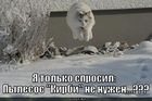 https://lolkot.ru/2011/02/16/pylesos-kirbi/