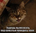 https://lolkot.ru/2010/08/11/pylesosit-pod-krovatyu/