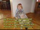 https://lolkot.ru/2014/11/23/pyshnaya-dostavka-dlya-koshachey-fotosessii/