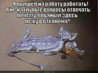 https://lolkot.ru/2012/10/26/rabotat/