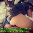 https://lolkot.ru/2015/06/07/rabotnik-tyla/