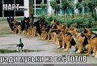 https://lolkot.ru/2011/03/19/radi-muski/
