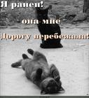 https://lolkot.ru/2013/01/02/ranen-2/