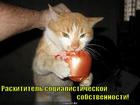 https://lolkot.ru/2011/04/23/rashititel/