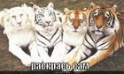 https://lolkot.ru/2011/10/07/raskras-sam/