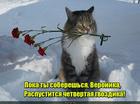 https://lolkot.ru/2016/08/10/raspuskaniye-v-ozhidanii/