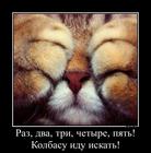 https://lolkot.ru/2013/04/11/raz-raz/