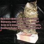 https://lolkot.ru/2015/01/07/razbrosatsya-dengami/