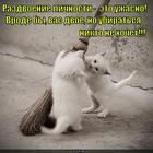 https://lolkot.ru/2015/09/30/razdvoyeniye-lichnosti/
