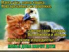 https://lolkot.ru/2015/07/02/razgovorchivaya-vstrecha/
