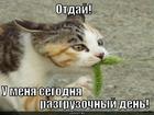 https://lolkot.ru/2010/06/08/razgruzochnyy-den/