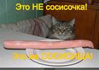 https://lolkot.ru/2014/03/15/razmer-imeyet-znacheniye-2/