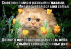https://lolkot.ru/2014/04/18/raznyye-radosti/