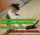 https://lolkot.ru/2016/03/19/razryv-shablona/