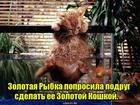 https://lolkot.ru/2016/08/22/rebrending/
