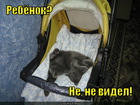 https://lolkot.ru/2012/02/20/rebyonok-ne-ne-videl/