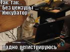 https://lolkot.ru/2011/04/18/registriruyus/