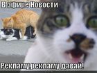 https://lolkot.ru/2011/05/25/reklamu-davay/