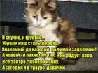 https://lolkot.ru/2016/02/06/rekviyem-po-kovru/