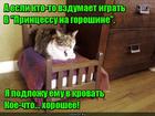 https://lolkot.ru/2016/07/22/remeyk-skazki-po-koshachi/