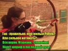 https://lolkot.ru/2016/05/07/robin-kot/