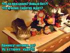 https://lolkot.ru/2017/04/23/rokirovka/
