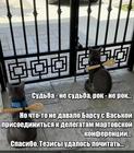 https://lolkot.ru/2025/02/27/rokovyye-uchastniki/