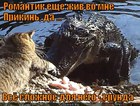 https://lolkot.ru/2012/03/13/romantik-zhiv/