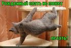 https://lolkot.ru/2012/09/05/rozhdennyy-spat/