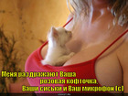 https://lolkot.ru/2011/03/07/rozovaya-koftochka/