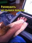 https://lolkot.ru/2013/01/08/rukovodit-ne-myshey-lovit/