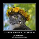 https://lolkot.ru/2012/08/13/russkaya-baba/