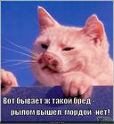 https://lolkot.ru/2011/12/09/rylom-vyshel-mordoy-net/