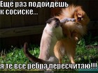 https://lolkot.ru/2010/04/06/ryobra-pereschitayu/