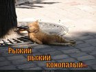 https://lolkot.ru/2012/07/29/ryzhiy-ryzhiy-konopatyy/