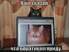 https://lolkot.ru/2012/02/16/s-bratikom-pridu/