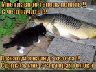 https://lolkot.ru/2012/04/29/s-chego-nachat/