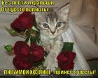 https://lolkot.ru/2013/02/21/s-gitaroy-i-shpagoy/