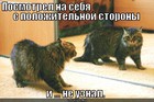https://lolkot.ru/2011/12/01/s-polozhitelnoy-storony/