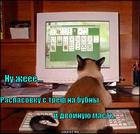 https://lolkot.ru/2010/09/28/s-tref-na-bubny/